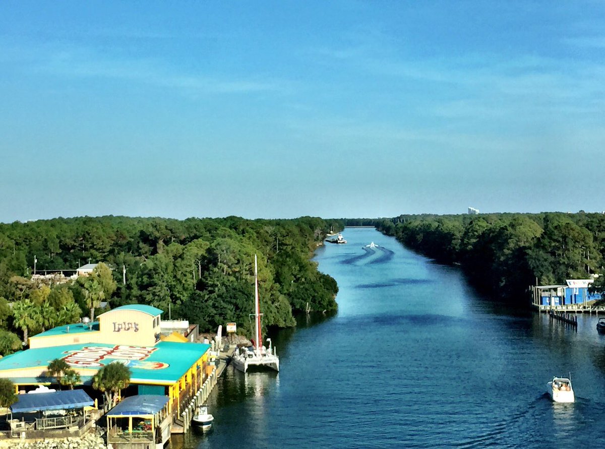 LucyBuffett's tweet image. #LuLus has grown bigger than my wildest dreams. The main life lessons: never give up and stay positive. #mondaymotivation #GumboLove