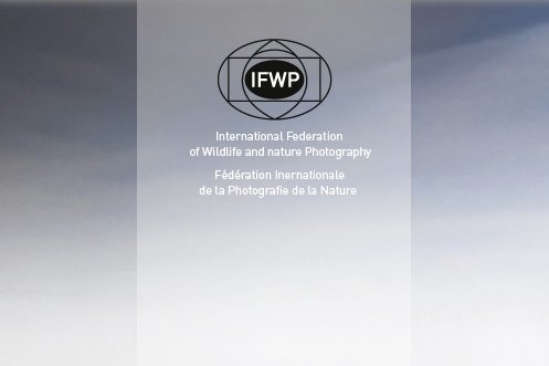 Josebruiz's tweet photo. https://t.co/Xi4liV9m26
#IFWP #AEFONA https://t.co/0T9l7130FS