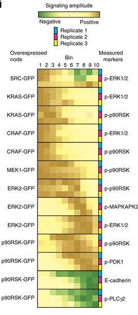 mmw_lmw's tweet photo. #MassCytometry & protein OverExpression to understand #SignalingNetworks | Bodenmiller @UZH_Science @NatureBiotech https://t.co/dMXTBg35LZ https://t.co/fLgCyTPk8P