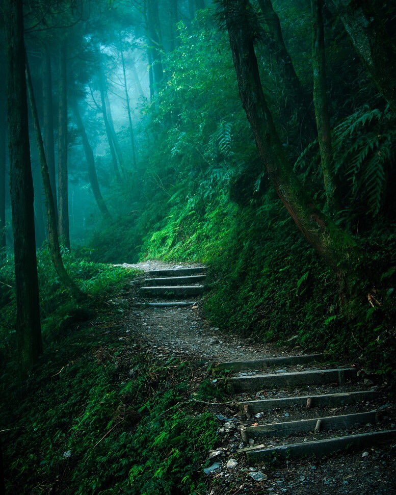 SummitUPress's tweet photo. The Life Lesson of #Ajna #Chakra is "Sustain a vision for the wholeness of all"
https://t.co/XIIo7KgAc1
Pic H Bo-Wen https://t.co/7tJNKjhIKR