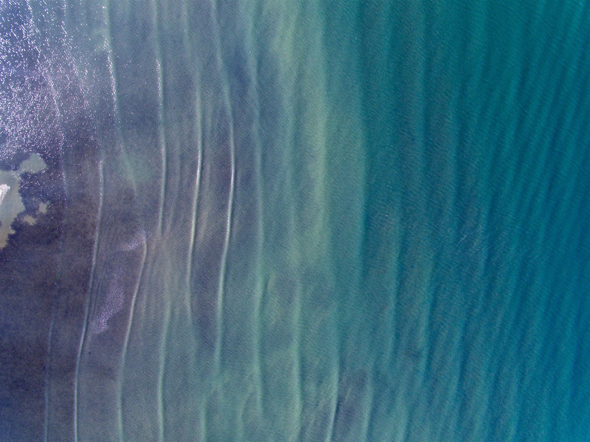 StudioEighty_8's tweet photo. Hidden dunes in the tamaki straight #phantom4 #drone #aerialshots #landscapephotography #beautifulbeaches #auckland #photography #newzealand https://t.co/K26qEfsg5F