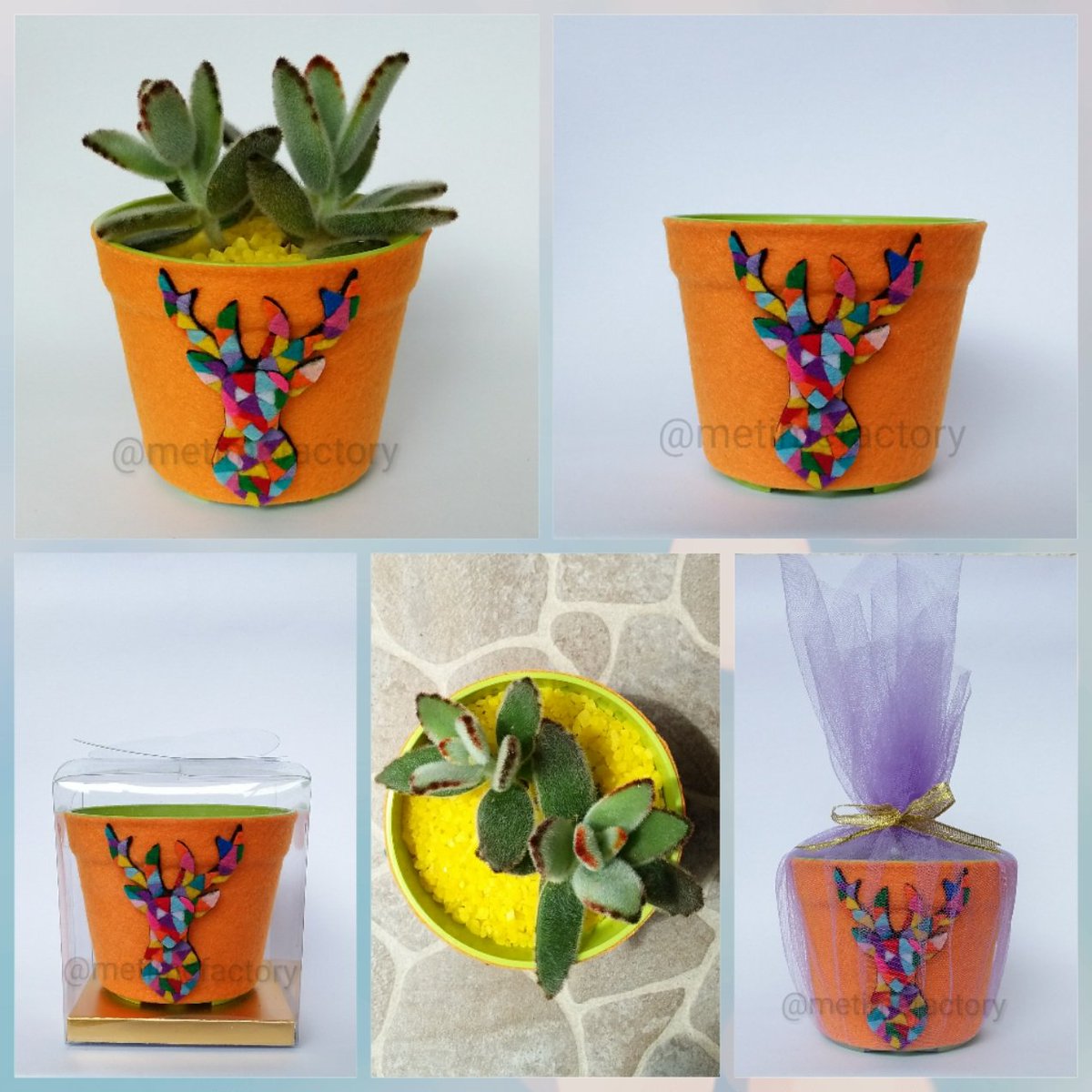 metimefactory's tweet photo. #souvenir #souvenirulangtahun #souvenirpernikahan #pajangan #dekorasi #kaktus #kaktuspamulang #kaktusjakarta #pot https://t.co/SzQWk6THu5