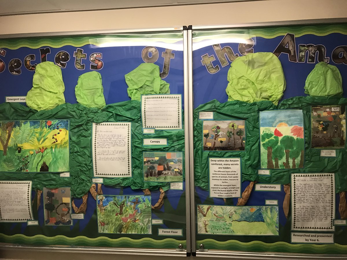 MissD_SHP's tweet photo. What wonderful TAs I have! #SuperTA #team6 #Amazeballs #Star #InFlandersFields #SecretsoftheAmazon @MrsCshp @OmehraM @SHPrimaryTipton https://t.co/6FgtSlqXfm