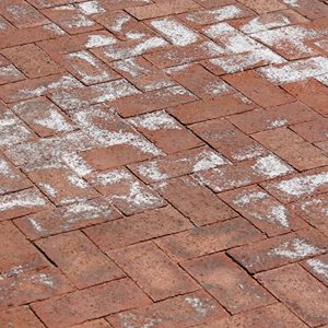 acewaterproof's tweet image. In January, we've been informing you on the benefits of Evo Salt Away. Find out more; ow.ly/tszm307jTpf #acewaterproofing