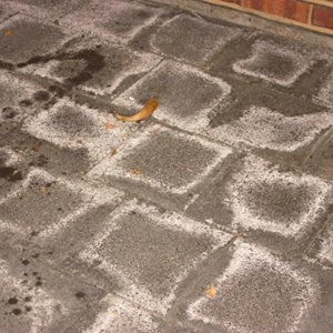 acewaterproof's tweet image. In January, we've been informing you on the benefits of Evo Salt Away. Find out more; ow.ly/tszm307jTpf #acewaterproofing