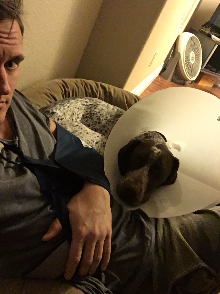 ZachRedman's tweet image. We're a beat up household. #neutered #dislocated