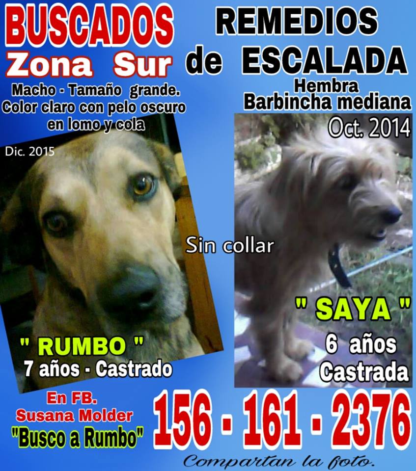 zuzanyn's tweet photo. ME AYUDAN POR FAVOR CON RT!!
GRACIAS!! https://t.co/IkiMAyoSCb