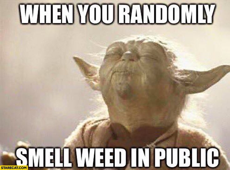 TheGreenDailyy's tweet photo. Who makes this face when they smell weed in public? #staycrispy https://t.co/T9pjtFPh4t