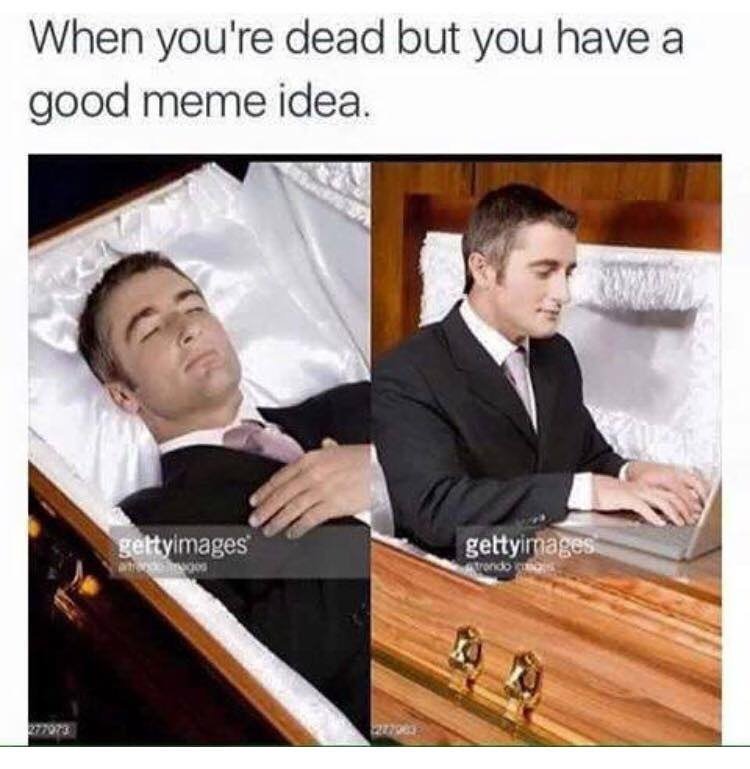 Vid_Mania_Real's tweet photo. This account in a nutshell https://t.co/ZTY6b1oeqq