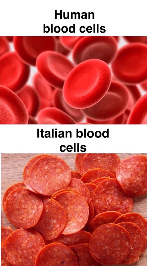 thefuckgio's tweet photo. Why people don't date Italians😫 https://t.co/HADXlzvvDY