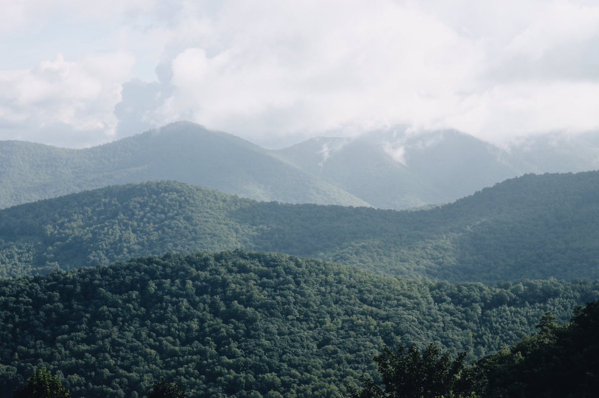 _findyourwild's tweet photo. Asheville, North Carolina #travel #TravelIsLove #roadtrip #bumkt3210 #findurwild #outdoors #abideoutside https://t.co/VJS157SqFu