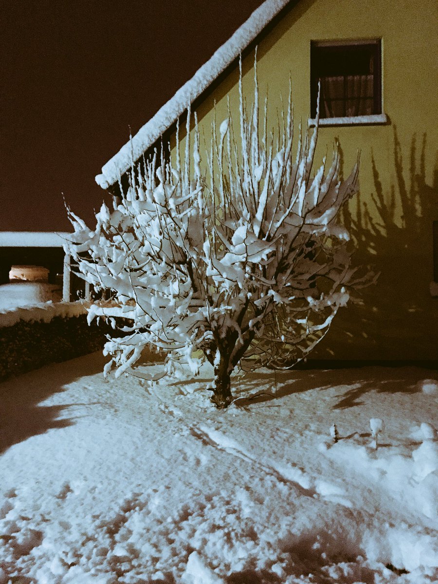 BStoelzel's tweet photo. SNOW in Germany ❄️🌳 https://t.co/WGKKLS9s9Q