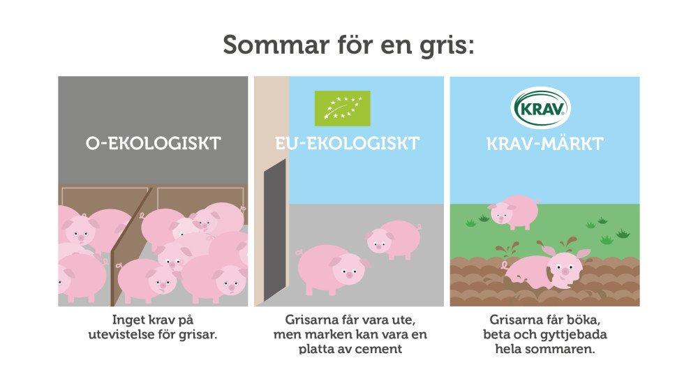 Hjälp oss att föra ett himla liv så att fler djur får komma ut! mynewsdesk.com/se/krav/pressr…