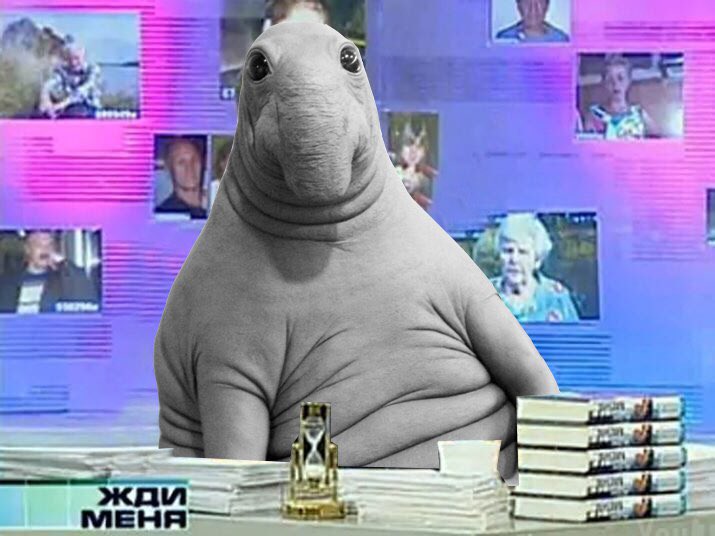 отечественные веселые картинки жди меня которая торгового