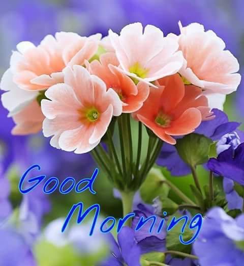 faiz zaidi (@faiz786110) on Twitter photo 