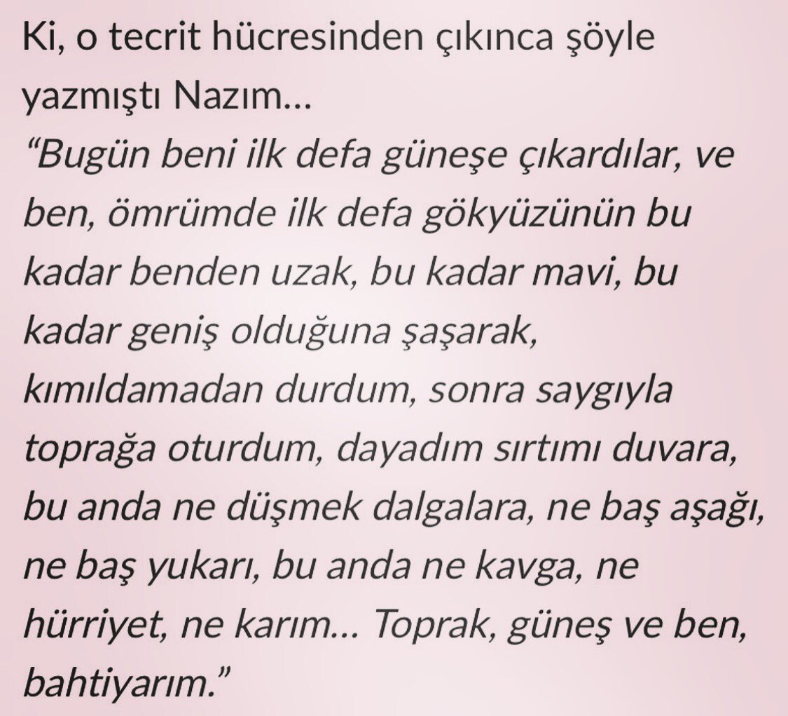 Nilufer Tasangil (@tasangilnilufer) on Twitter photo 