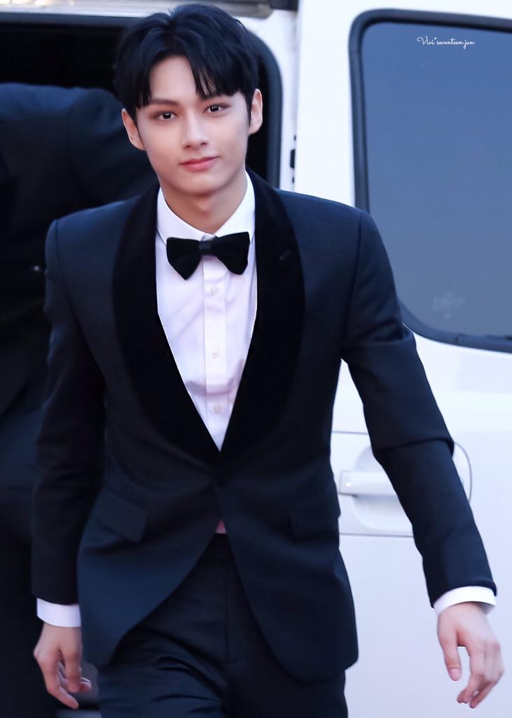 unbleached junhui (@junhuimelanin) on Twitter photo 