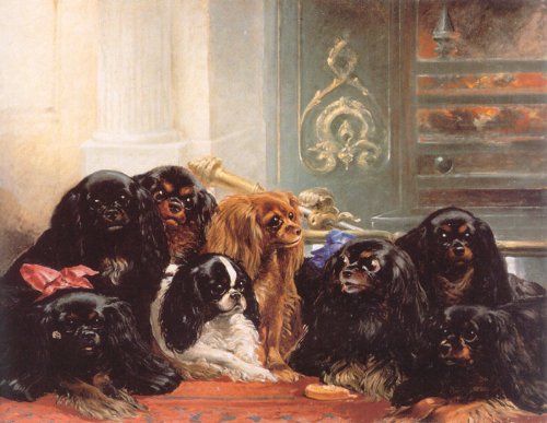 king charles and his dogs