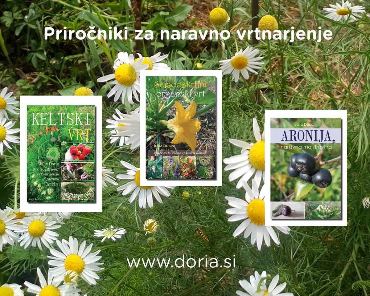 Atelje_Doria's tweet photo. Tudi vi že razmišljate o vrtu? Oglejte si priročnike o rastlinah in vrtnarjenju https://t.co/qUrPfzEx6f #vrtnarjenje #vrt #rasline #koristno https://t.co/m2pGsy74zF