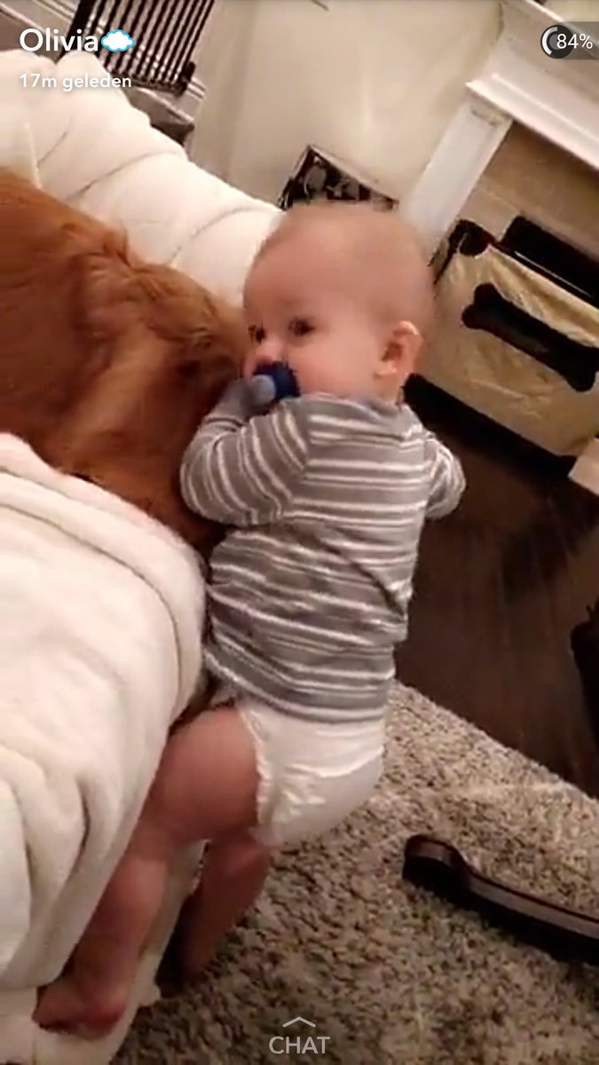briliviasupport's tweet photo. THIS IS SO CUTE OMFBWIXHQKZ https://t.co/PBwd9L7KwU