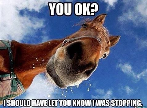 abacus_retail's tweet photo. A funny little meme to get us through Tuesday 😄 https://t.co/EhV44JZgEL https://t.co/IxG0g1D1D1