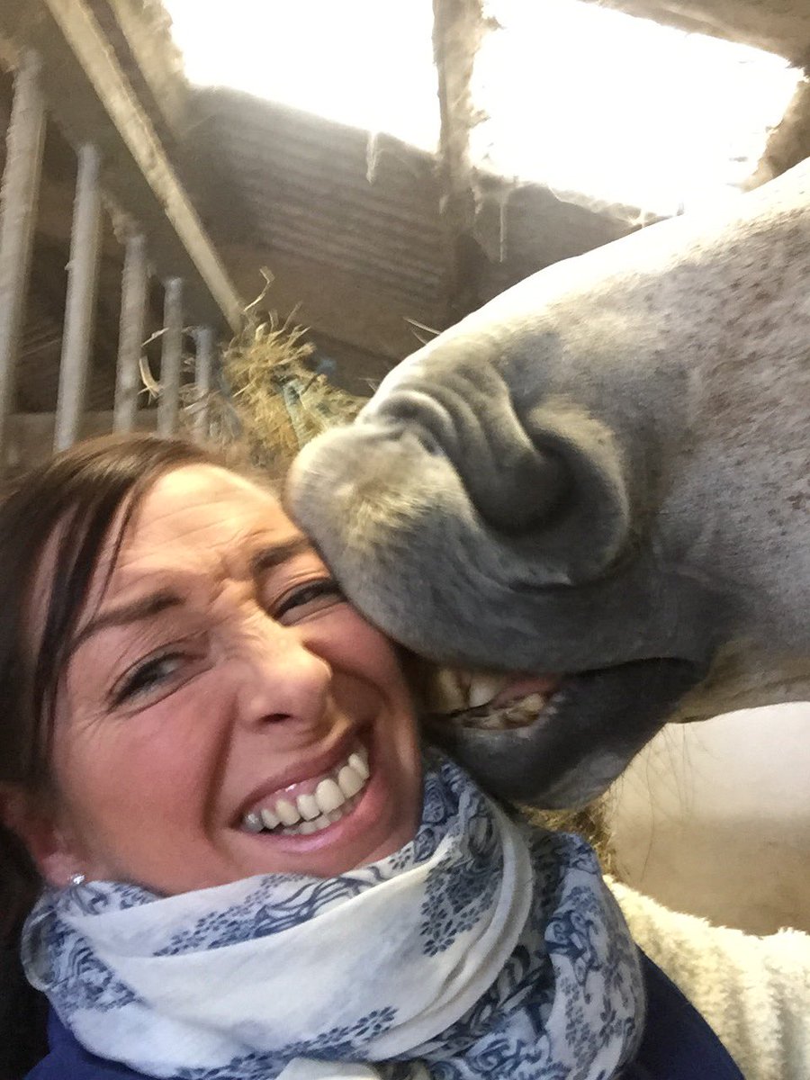 nikkidavies30's tweet photo. When your horse is desperate for a snog🤣 #lovehim #equestrianhour #horseofalifetime #indoctro https://t.co/ghUvHGDzzu