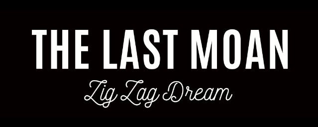 thelastmoan's tweet photo. It's coming guys ! #thelastmoan #newalbum #zigzagdream #LP #coldsmokerecords https://t.co/TcFpQlfuPt