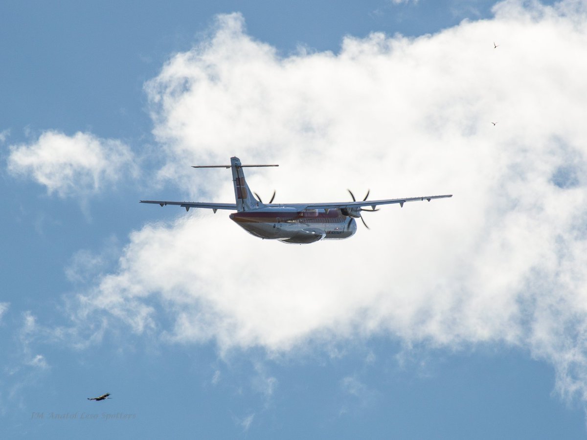 jmanatol's tweet photo. 4 #pajaros en 1
El aeropuerto #Donostia @DonostiAir tiene mucho tráfico #noautorizado pero bien gestionado por @controladores y #halconero https://t.co/C0QhWRZKkq