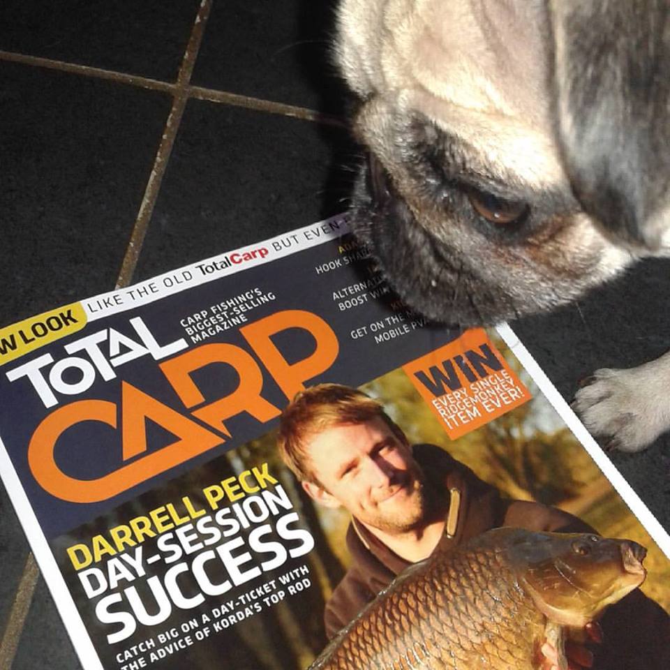 publicfishingfrance tweet media