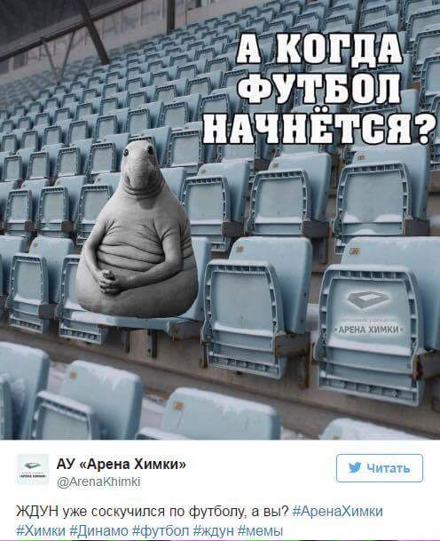 Кошелева Марина (@m_kosheleva) on Twitter photo 