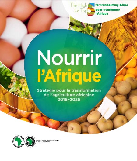 ebook Древние памятники русского языка и письма X XIV