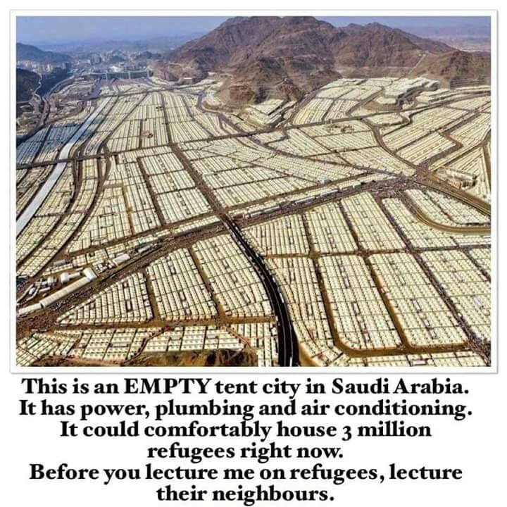 Prothexus's tweet image. The solution for muslims refugees who can't go to US