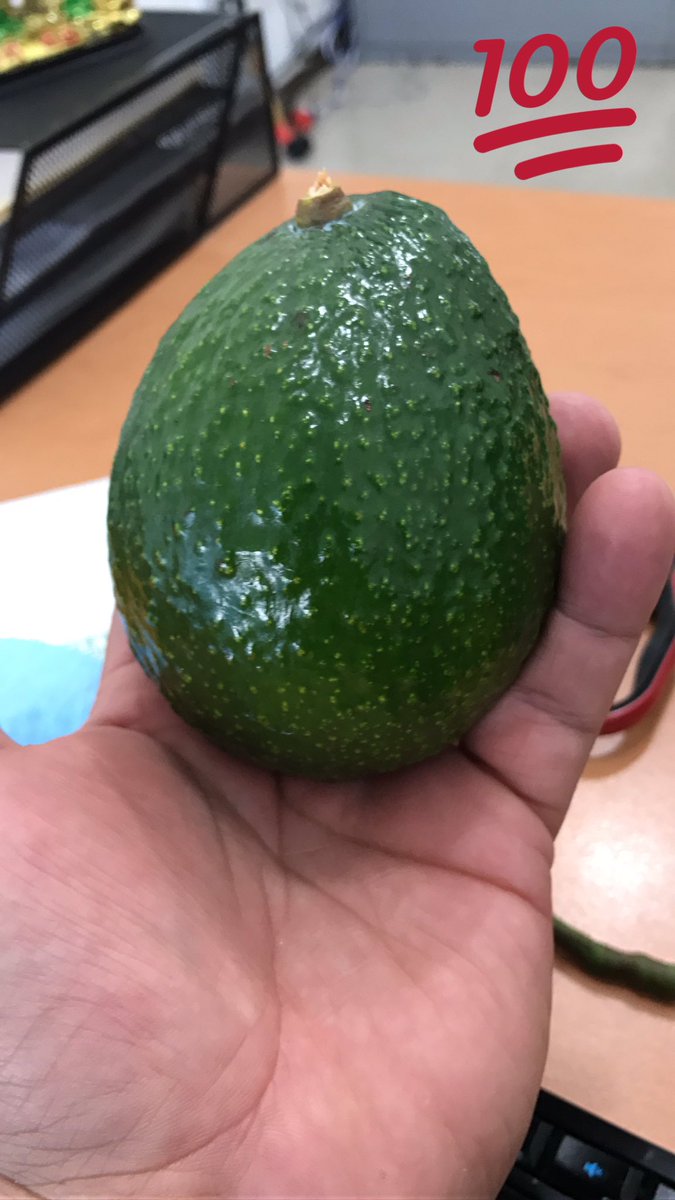 EnterprisesHH's tweet photo. Our organic hass avocados, the best of Mexico for US! Green, firm, good and fresh, is H&amp;H! https://t.co/IodOxM2DoJ