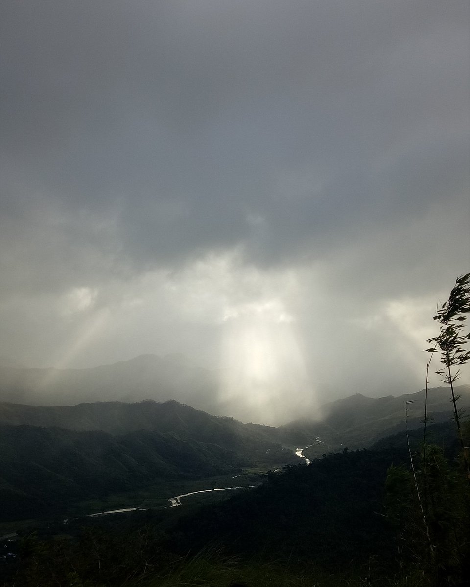 PopsterBCJ15's tweet photo. Wonders! 🍃🌾🌿🌻🌺🌱⛅
#MountaineersLife
#OppoF1sShot
#TrailBreak https://t.co/Bj0WHbfAa8