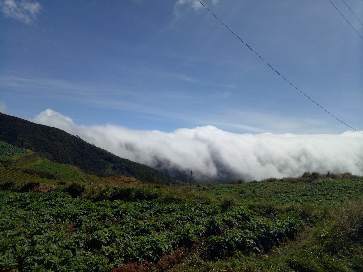 PopsterBCJ15's tweet photo. Wonders! 🍃🌾🌿🌻🌺🌱⛅
#MountaineersLife
#OppoF1sShot
#TrailBreak https://t.co/Bj0WHbfAa8