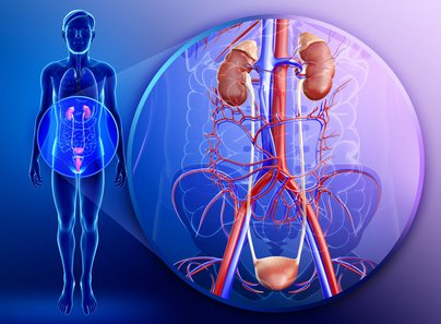 notiziemediche's tweet photo. #TumoredellaVescica: primi risultati positivi con l’#immunoterapia. #NotizieMediche https://t.co/Vimfmyzuhv https://t.co/LjsT6BmIDr
