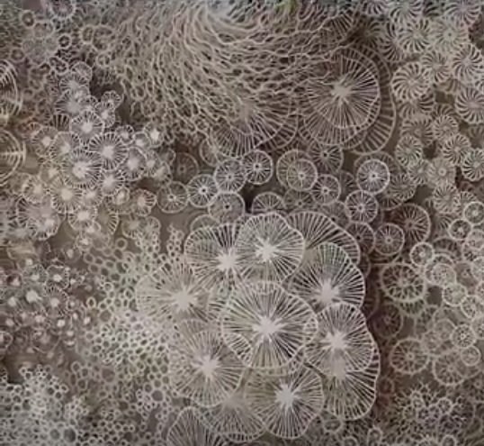 BladeRecruit's tweet photo. #art #paperart #organic #fratal #naturalforms #natural  #cut #whiteonwhite #white https://t.co/ClUoRi8v6R https://t.co/p0WS3w6nxD