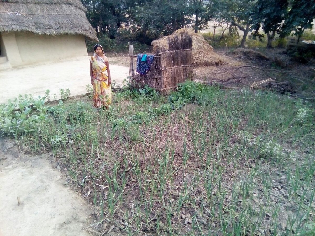 RGMVP's tweet photo. #SHG members understand the importance of having a kitchen garden @RGMVP #Nutrition #WomenInHealth #18DaysCompost https://t.co/AOgBzppMXU