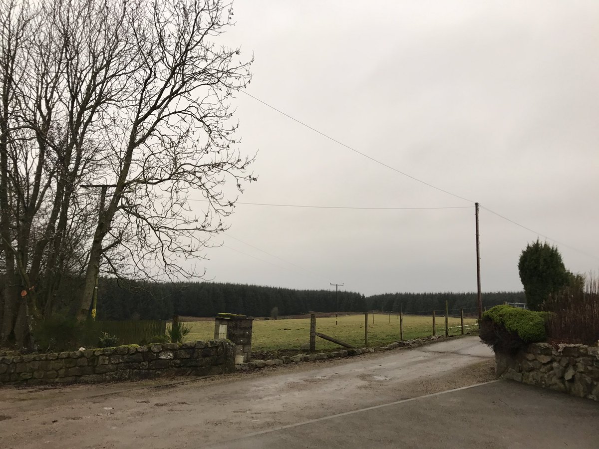 RachAM's tweet photo. @WindyWilson88 5 degrees, blowing a gale and damp here in #Fintray #aberdeenshire brrrrrrr...... https://t.co/ye3EJ7qLO6