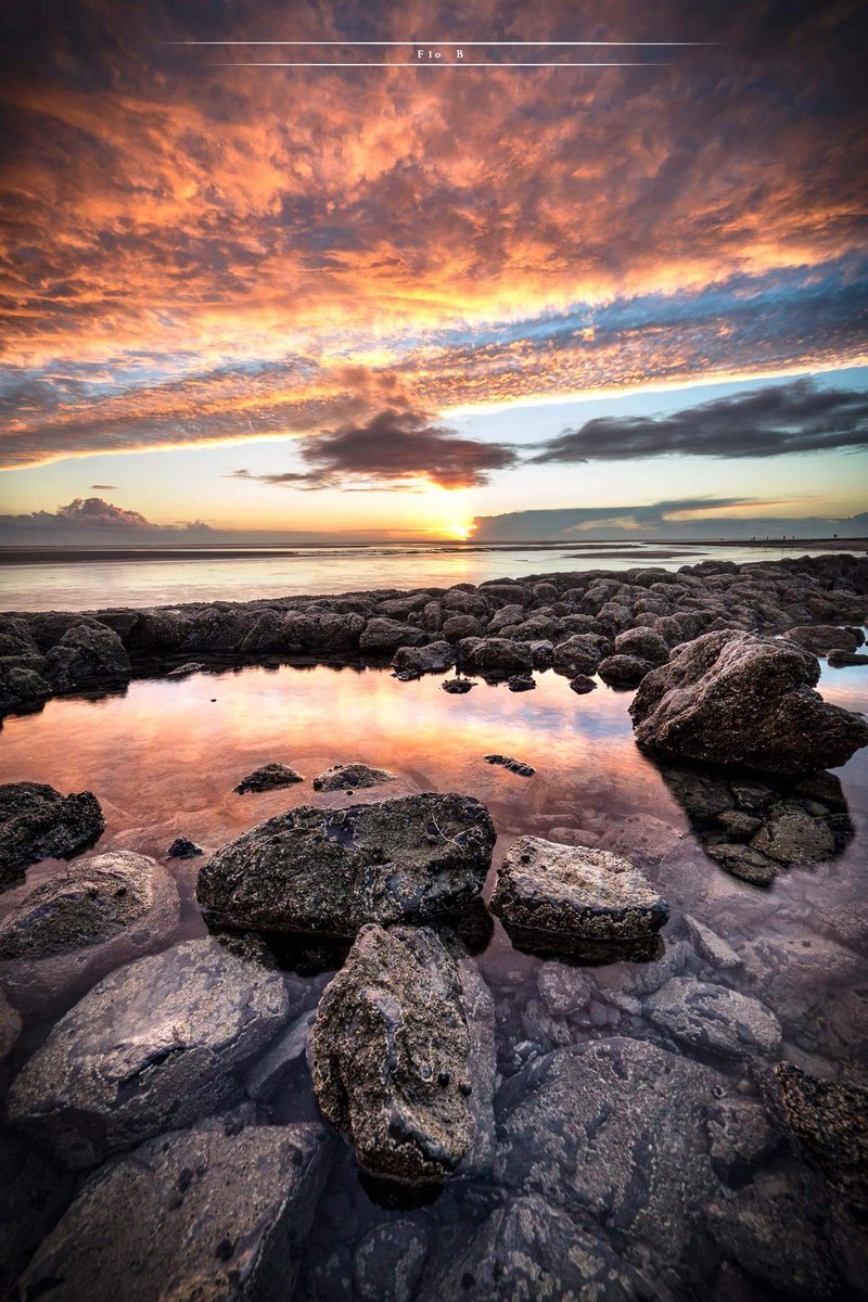 Bigand Florian tweet media