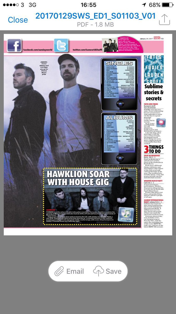 HawkLion tweet media