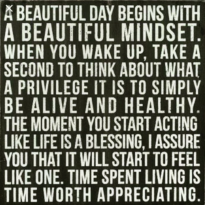 OmanessOfficial's tweet photo. A beautiful day begins with a beautiful mindset
#Mindset #Positivity #Motivation #Tuesday #TuesdayMorning #Omaness https://t.co/tfu2UFxYiM