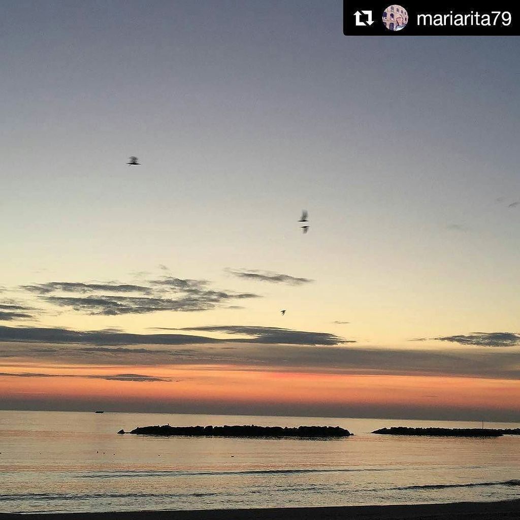ComunePsgInfo's tweet photo. Il #buongiornopsg di oggi ve lo diamo con questo bel #Repost della foto di @mariarita79 wi… https://t.co/myBrqd11Lv https://t.co/1wO3HcJHvi