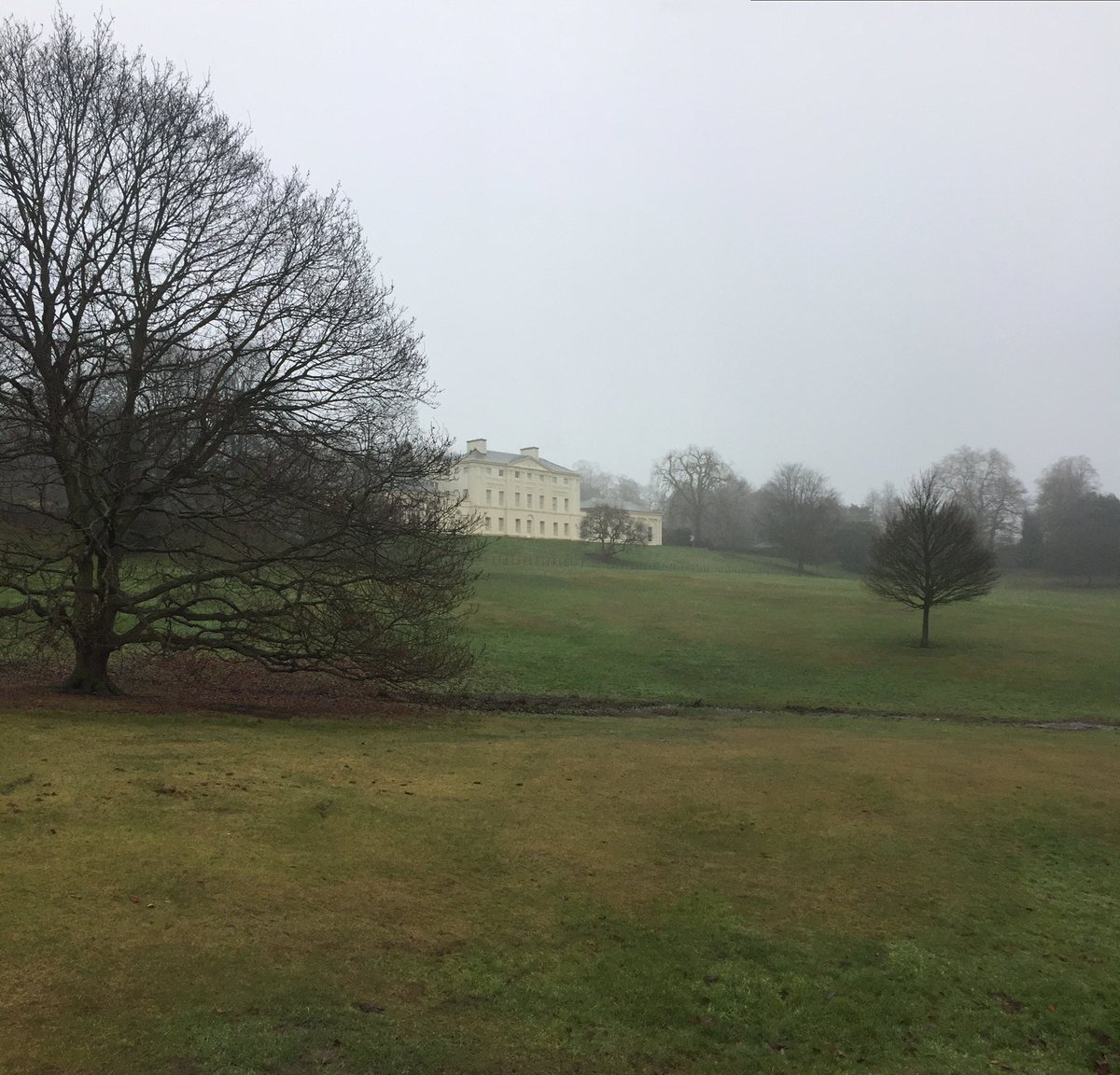 ThekingWillie_'s tweet photo. . @hampsteadheath1 today ❤ @EHKenwood @CityCorpHeath https://t.co/haX0XLeOmg