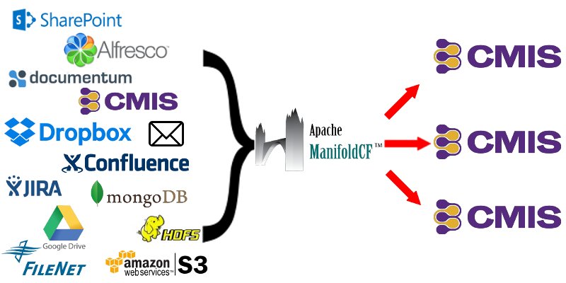 Piergiorgio Lucidi tweet media