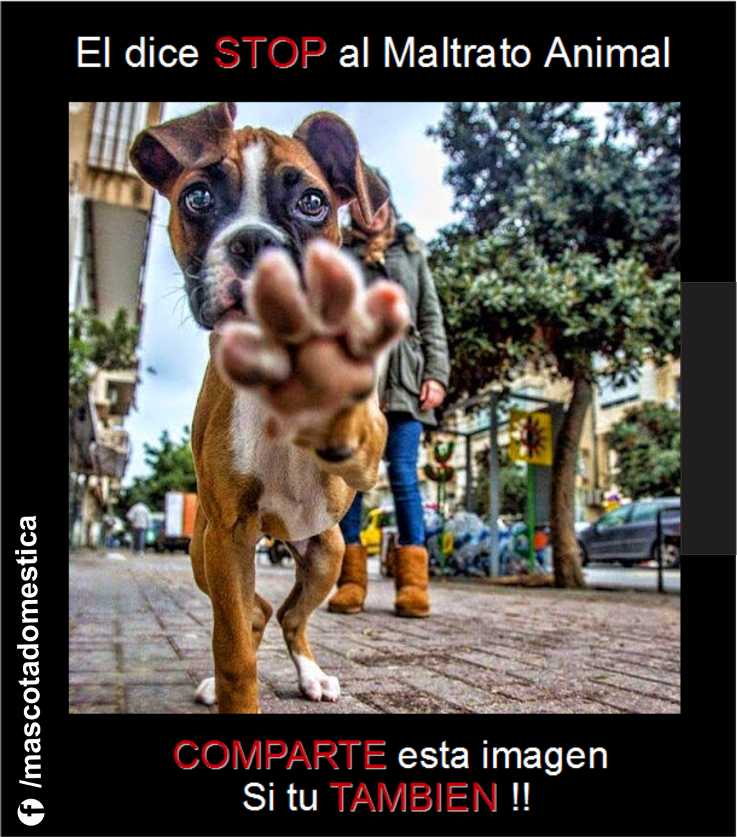 lasmascotas's tweet photo. #BuenMartes para reafirmar el NO al #maltratoanimal . Saludos @lasmascotas https://t.co/uC9msz79CG