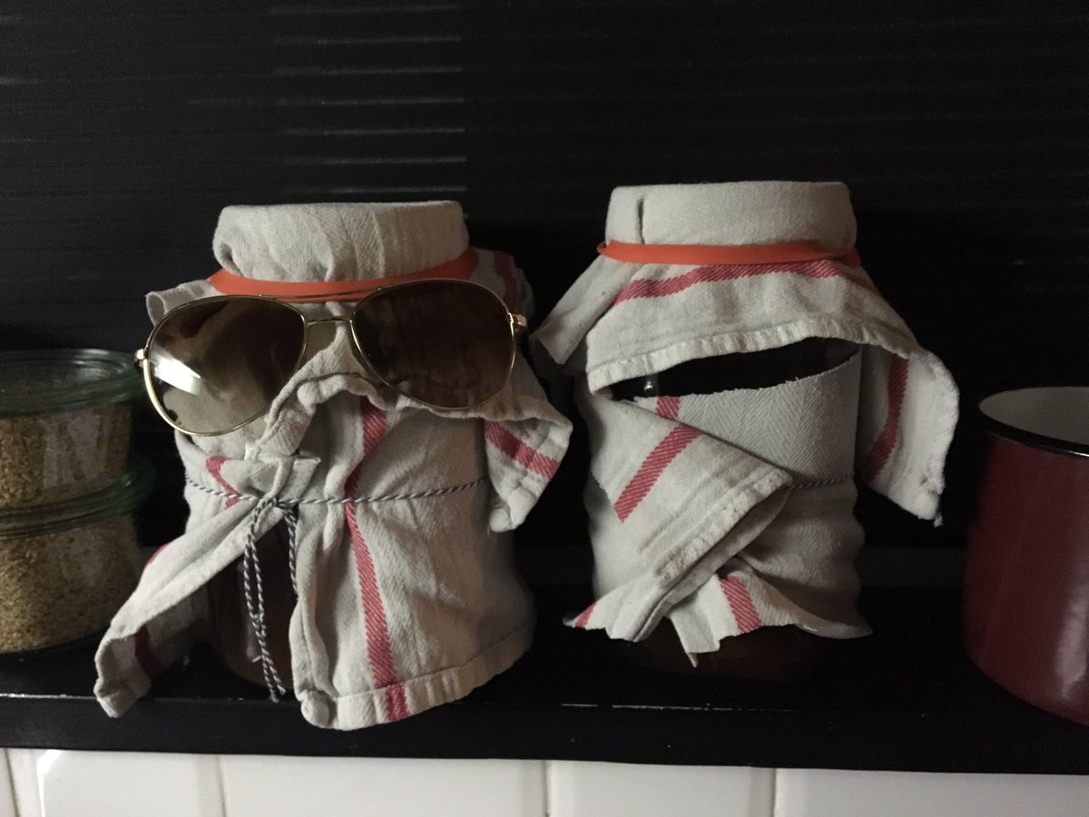 Stuur jouw grappigste/mooiste #kombucha foto! Deze staan bij @kionamalinka op de vensterbank! #fermentation #crusiokombucha #tea #food