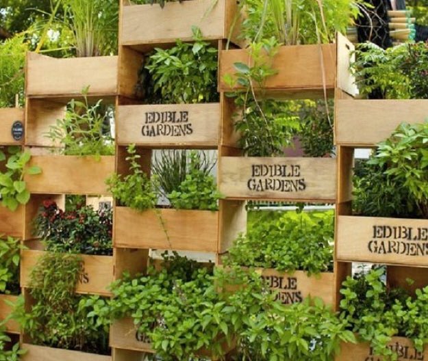 doolittlemag's tweet photo. 🍅À vos truelles! Le #kitkipouss pensé par @lespetitsradis permet aux kids de créer leur propre potager🌱 https://t.co/421HnsUGEx