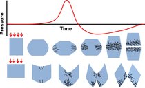 ChemEurJ's tweet photo. Looking at the ultrasonic fragmentation of #ioniccrystals @ChemistryUIUC https://t.co/ZtFezxQ18X https://t.co/GVyo6ilT7O