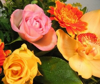 #klanttevredenheid #rapportcijfer 9,2! bsabv.nl/?p=5016